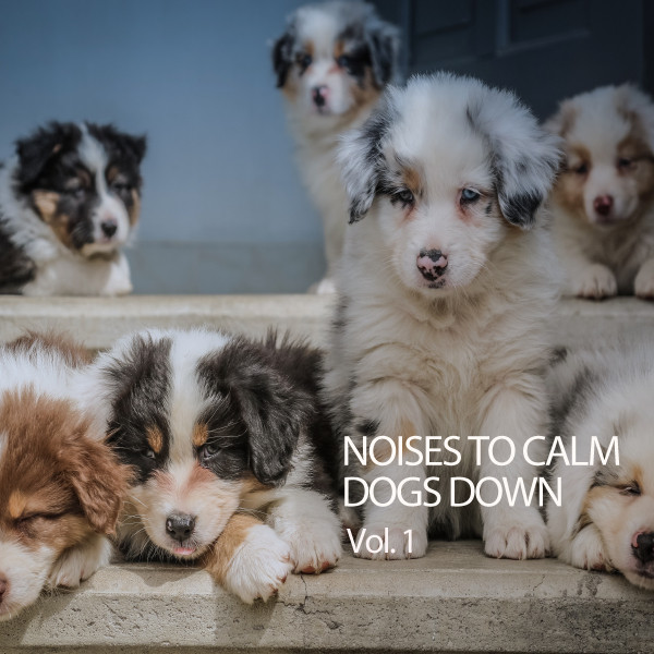 Noises To Calm Dogs Down Vol. 1 cover art