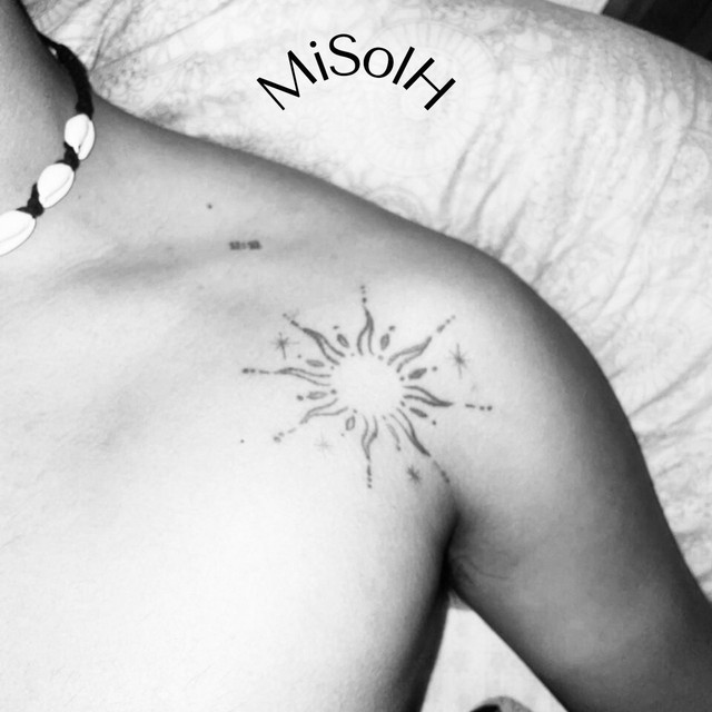 MiSolH