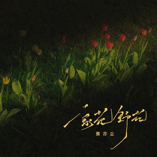 家花野花 Song And Lyrics By 黄亦尘 Spotify