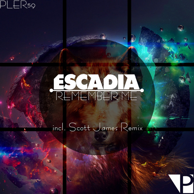 Remember Me cover art