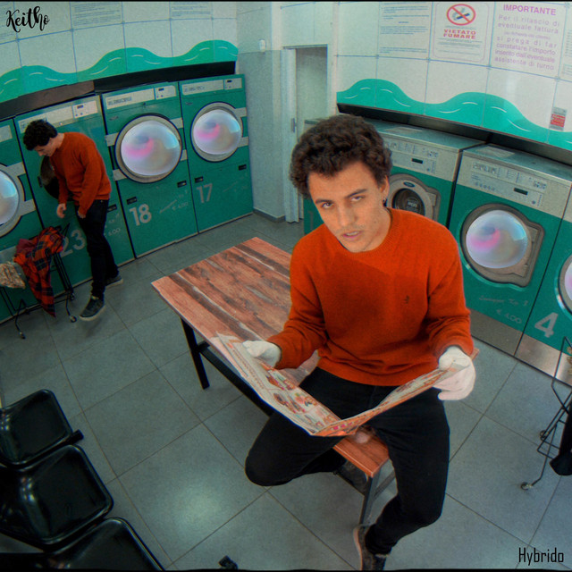 BOLLA cover art