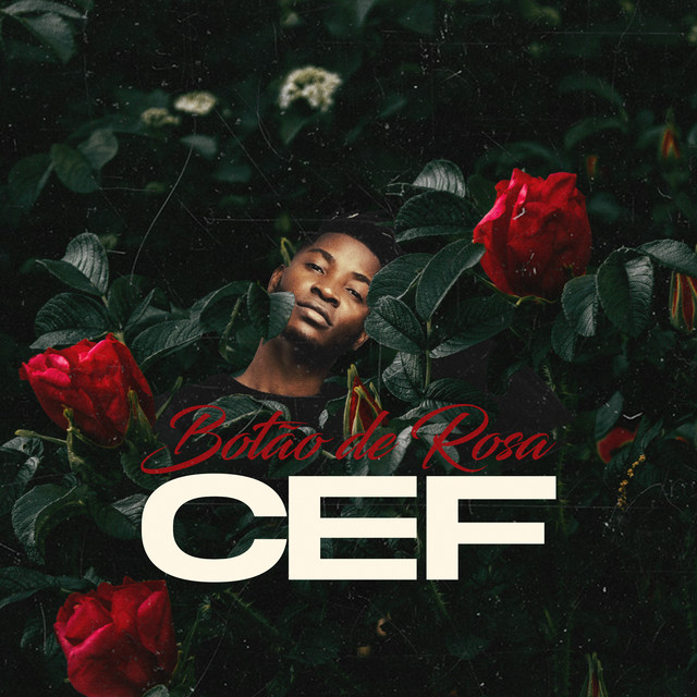 Botão de Rosa cover art