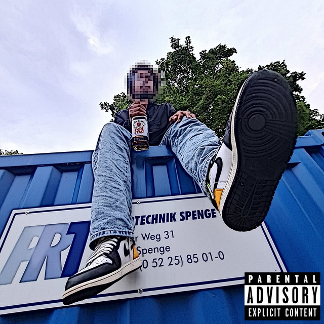 Picasso Flow cover art