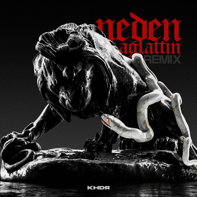 Neden Ağlattın (Remix) cover art