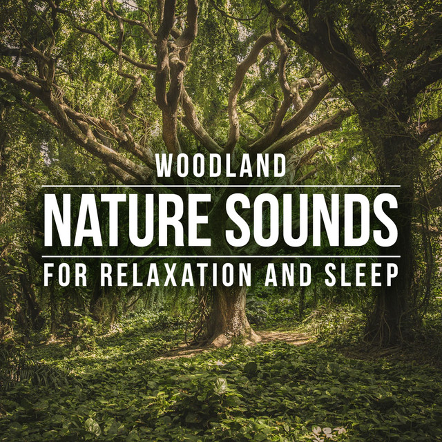 Woodland Nature Sounds for Relaxation and Sleep - Album by Nature ...