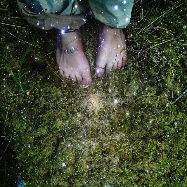Flux cover art