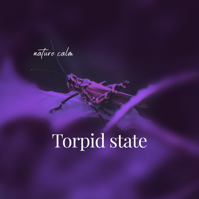 Torpid State by Nature Calm