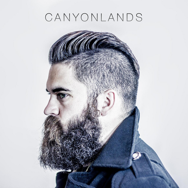 Canyonlands cover art