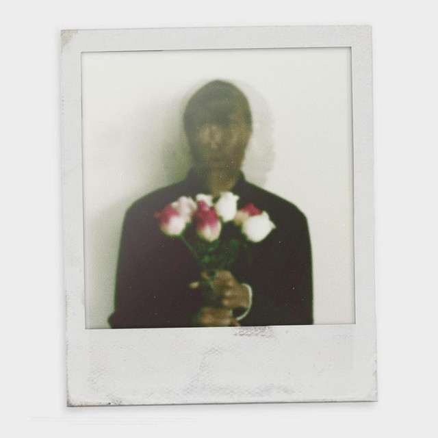 Roses cover art