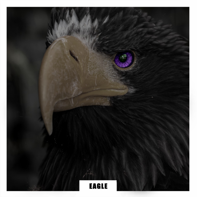 Eagle cover art