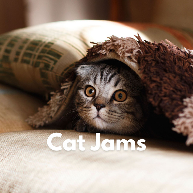 Cat Jams cover art