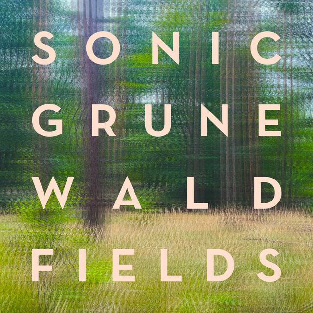 Sonic Grunewald Fields cover art