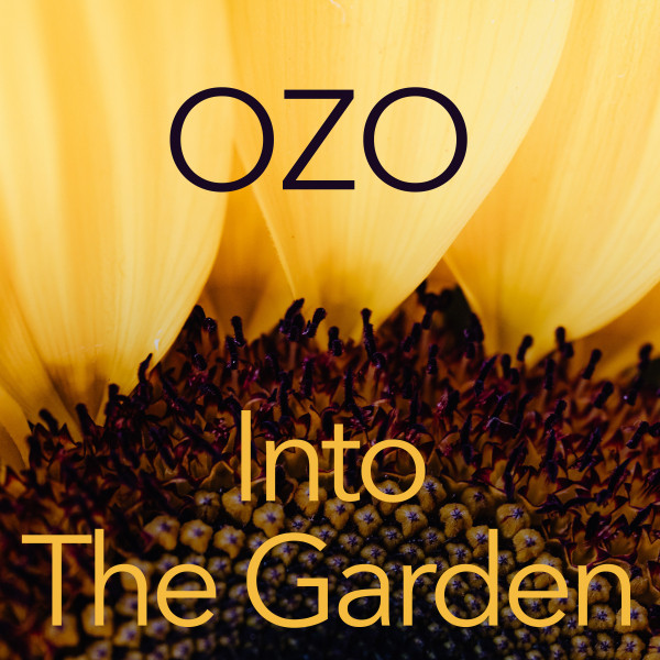 Into The Garden cover art