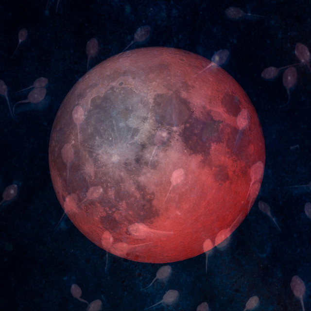 Nine Rays of Moonshine cover art