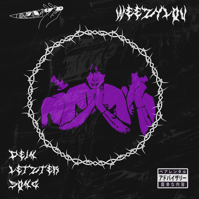 Dein letzter Song cover