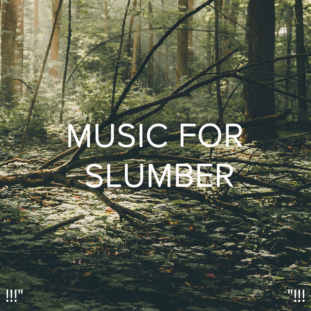 !!!" Music for Slumber "!!! cover art