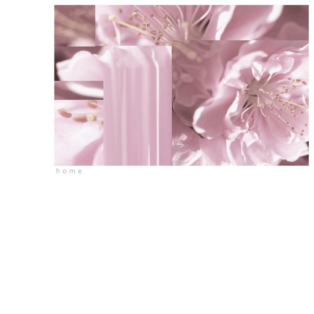 Home cover