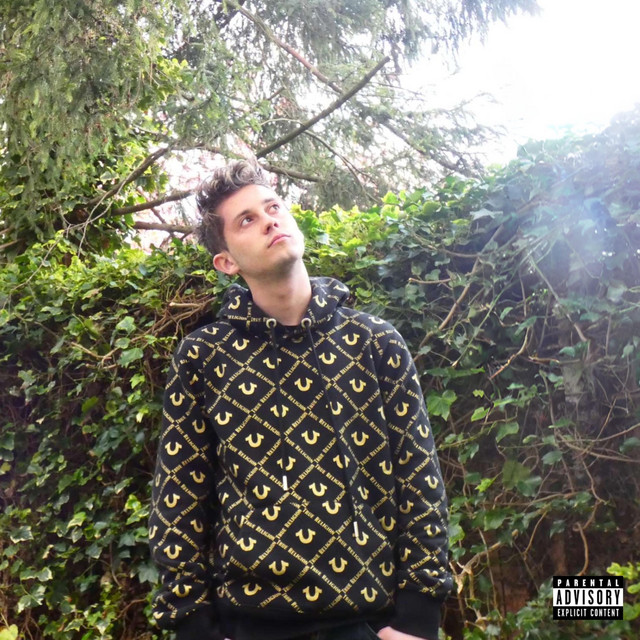 Privacy cover art