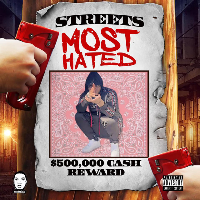 Streets Most Hated cover art