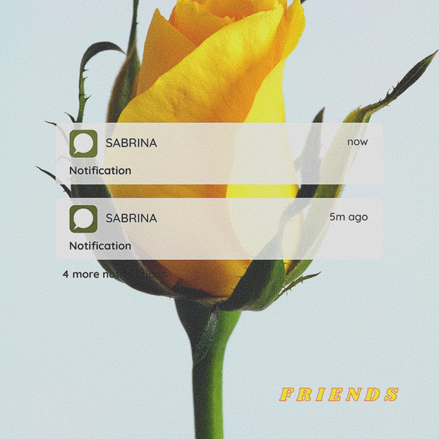 Friends