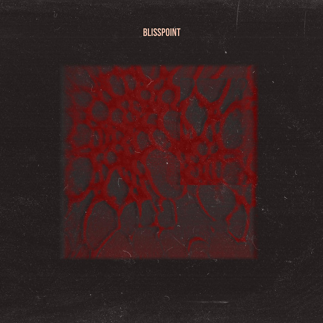 Blisspoint cover art