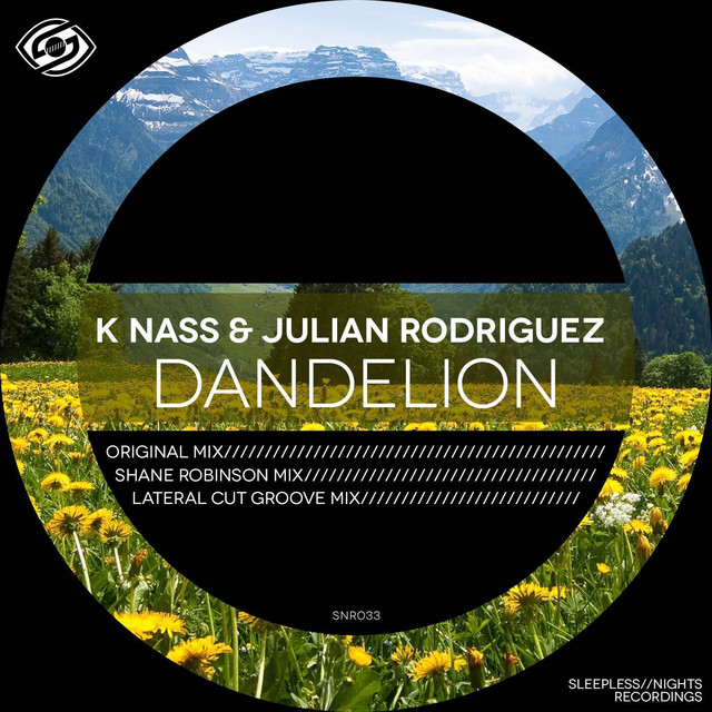 Dandelion - Shane Robinson Remix cover art