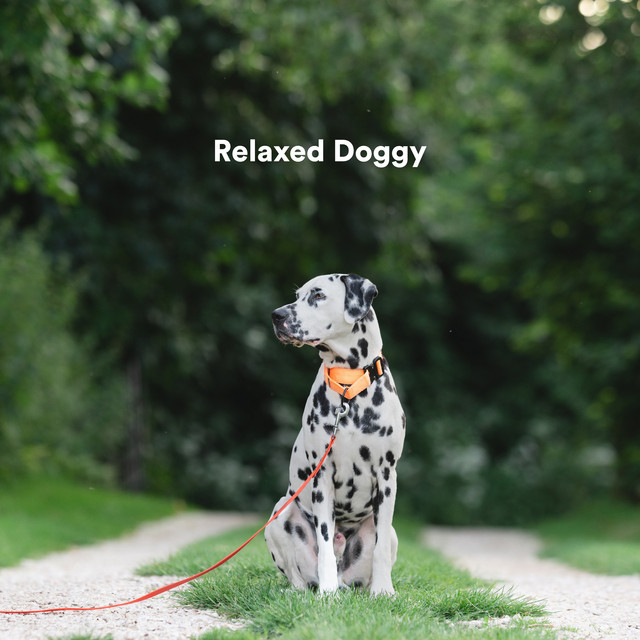 Relaxed Doggy cover art