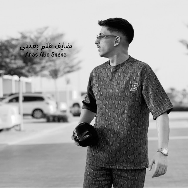 ANAS ABO SNENA