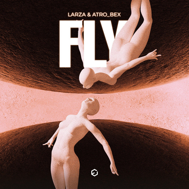 Fly