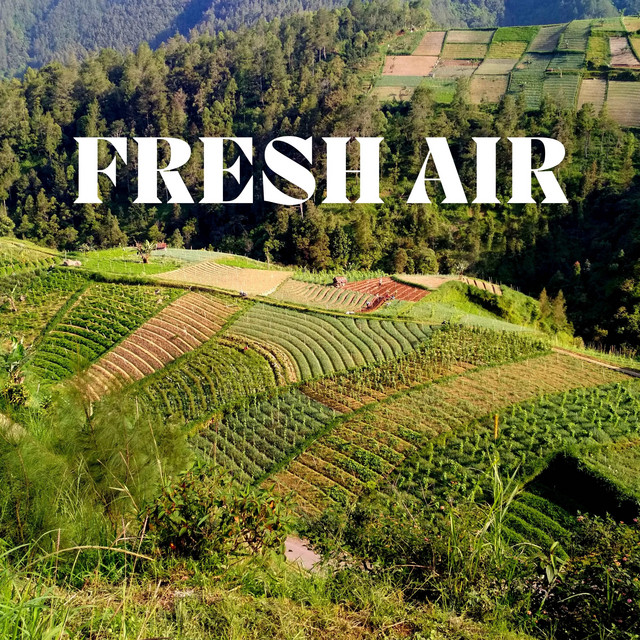 Fresh Air cover art