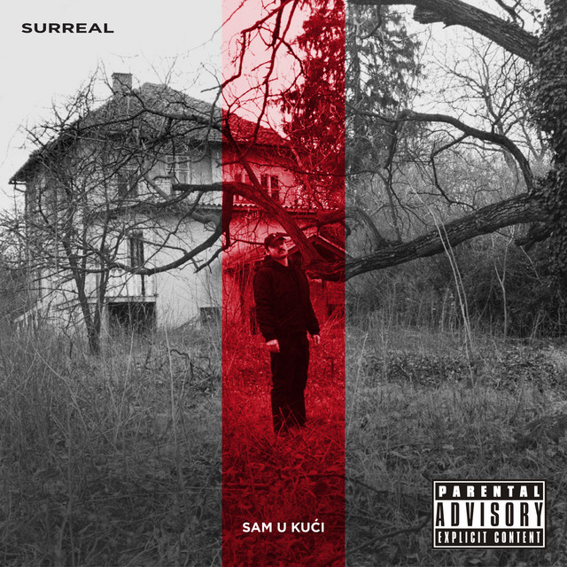 Sam U Kući cover art