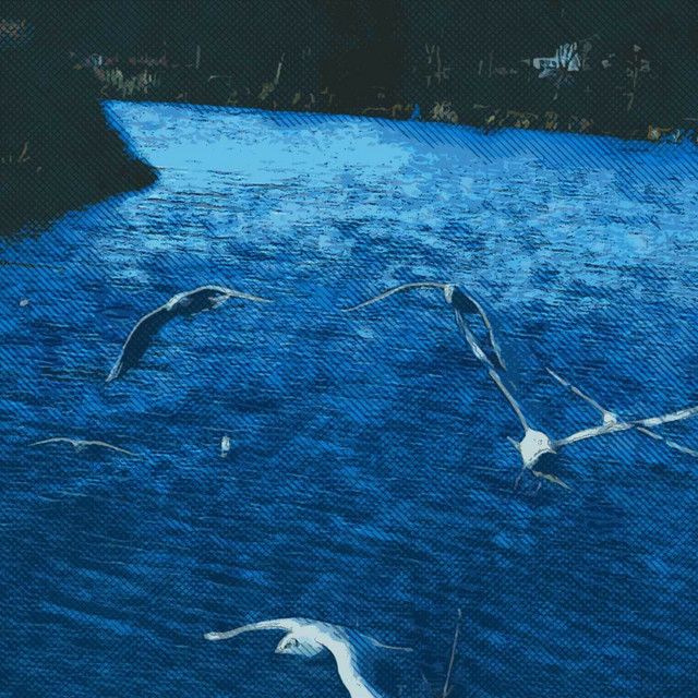Migration cover art