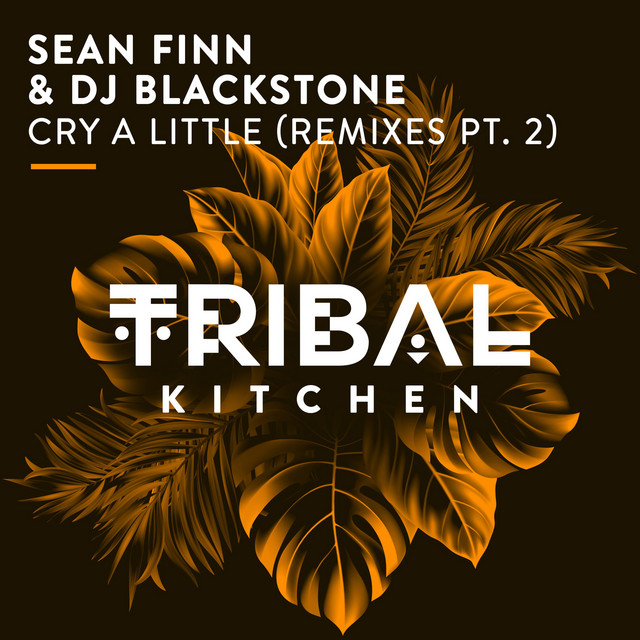 Cry A Little - DJ Blackstone Remix album art