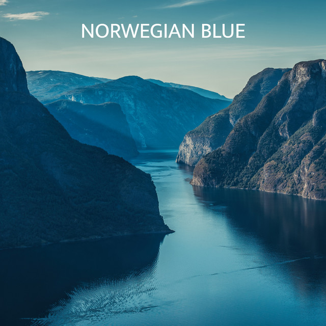 Norwegian Blue