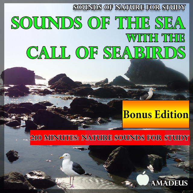 Sounds of Nature for Study: Sounds of the Sea with the Call of Seabirds: Bonus Edition cover art