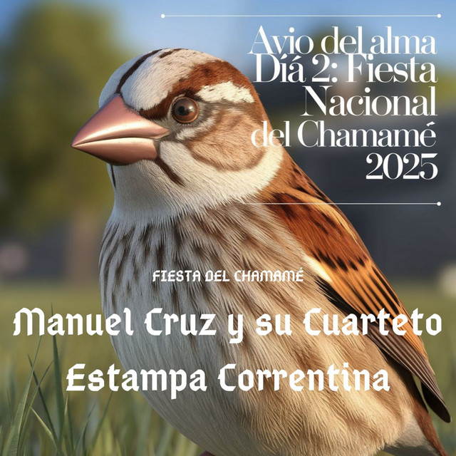 Manuel Cruz y su cuarteto estampa correntina en Avio del Alma, Dia 2: Fiesta Nacional del Chamamé 2025 (En Vivo) cover art
