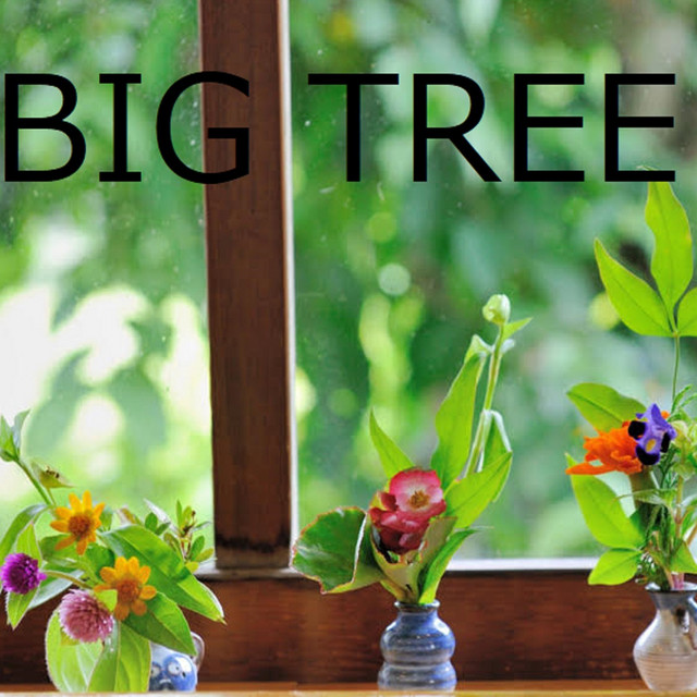 Big Tree