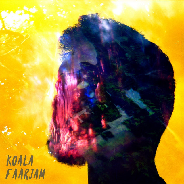 Koala cover art
