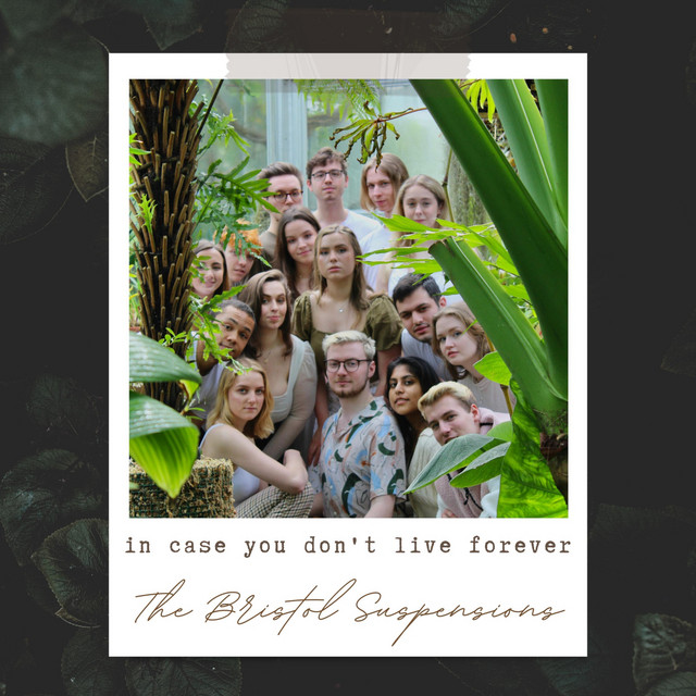 In Case You Don't Live Forever cover art