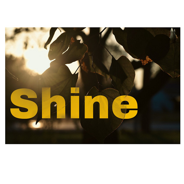 Shine