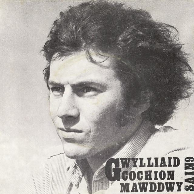 Gwylliaid Cochion Mawddwy cover