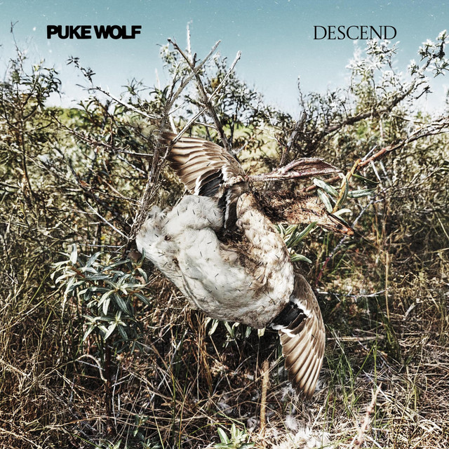 Descend cover