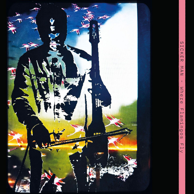 Where Flamingos Fly cover