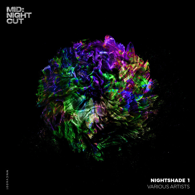 Nightshade 1 cover art