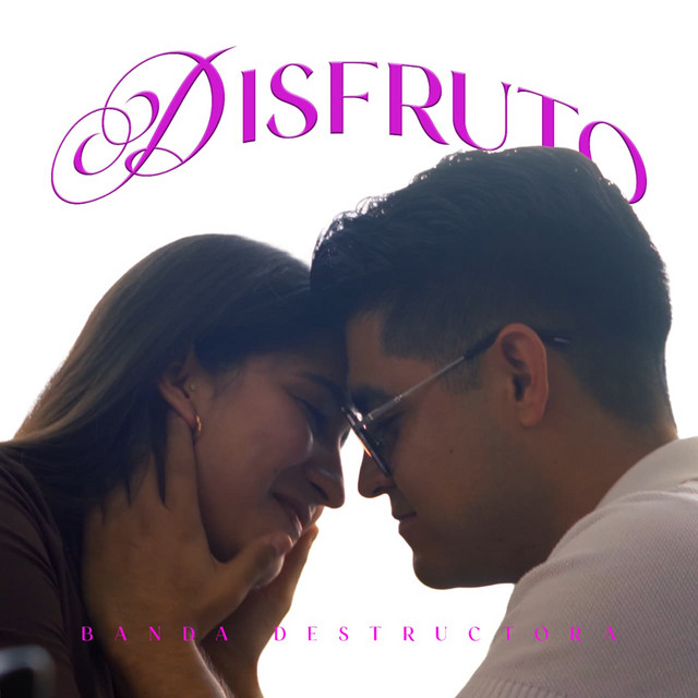 Disfruto album image