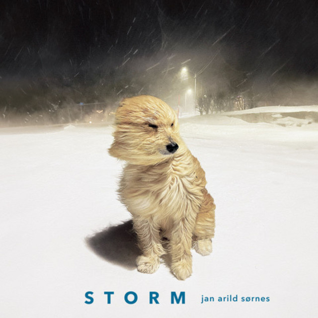 STORM cover art