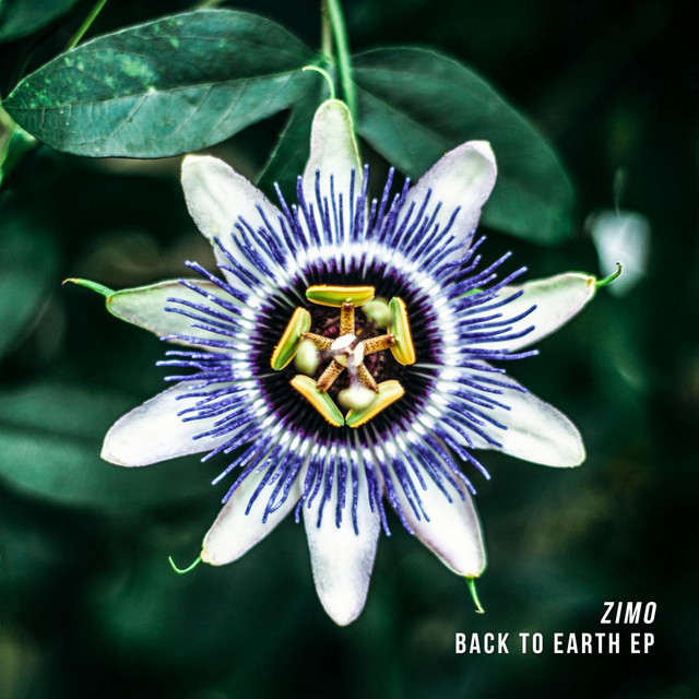 White Aura cover art