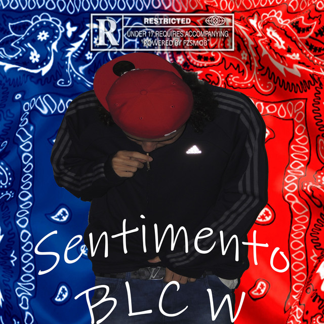 Sentimento cover art