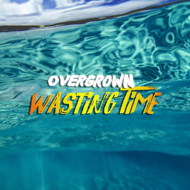 Wasting Time cover