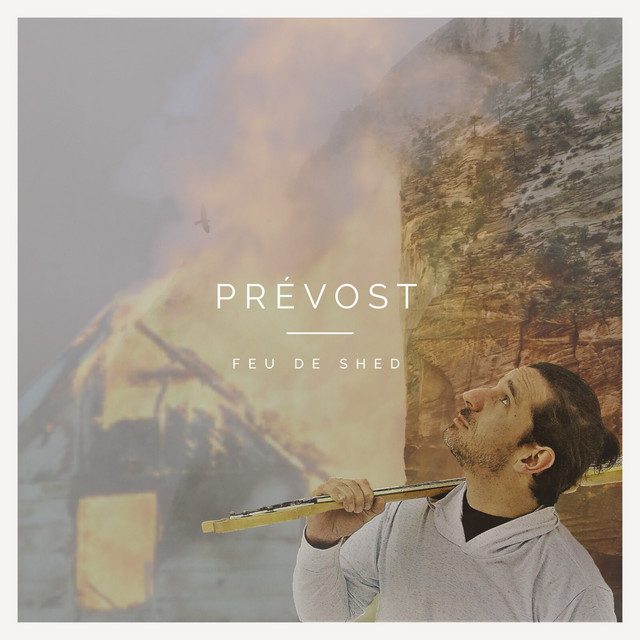 Feu de shed cover art